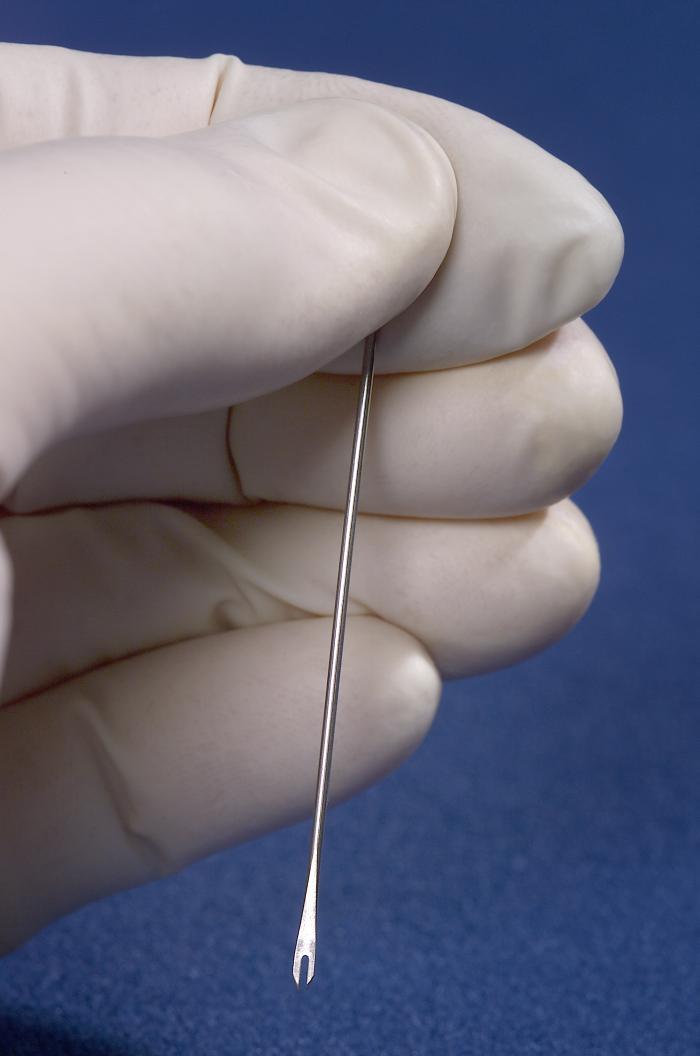 Detalle de una aguja de vacunación. Foto: CDC/James Gathany, Wikimedia Commons (dominio público).